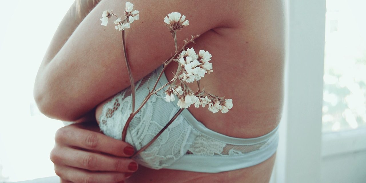 pecho grande vs pecho pequeño pecho grande vs pecho pequeño